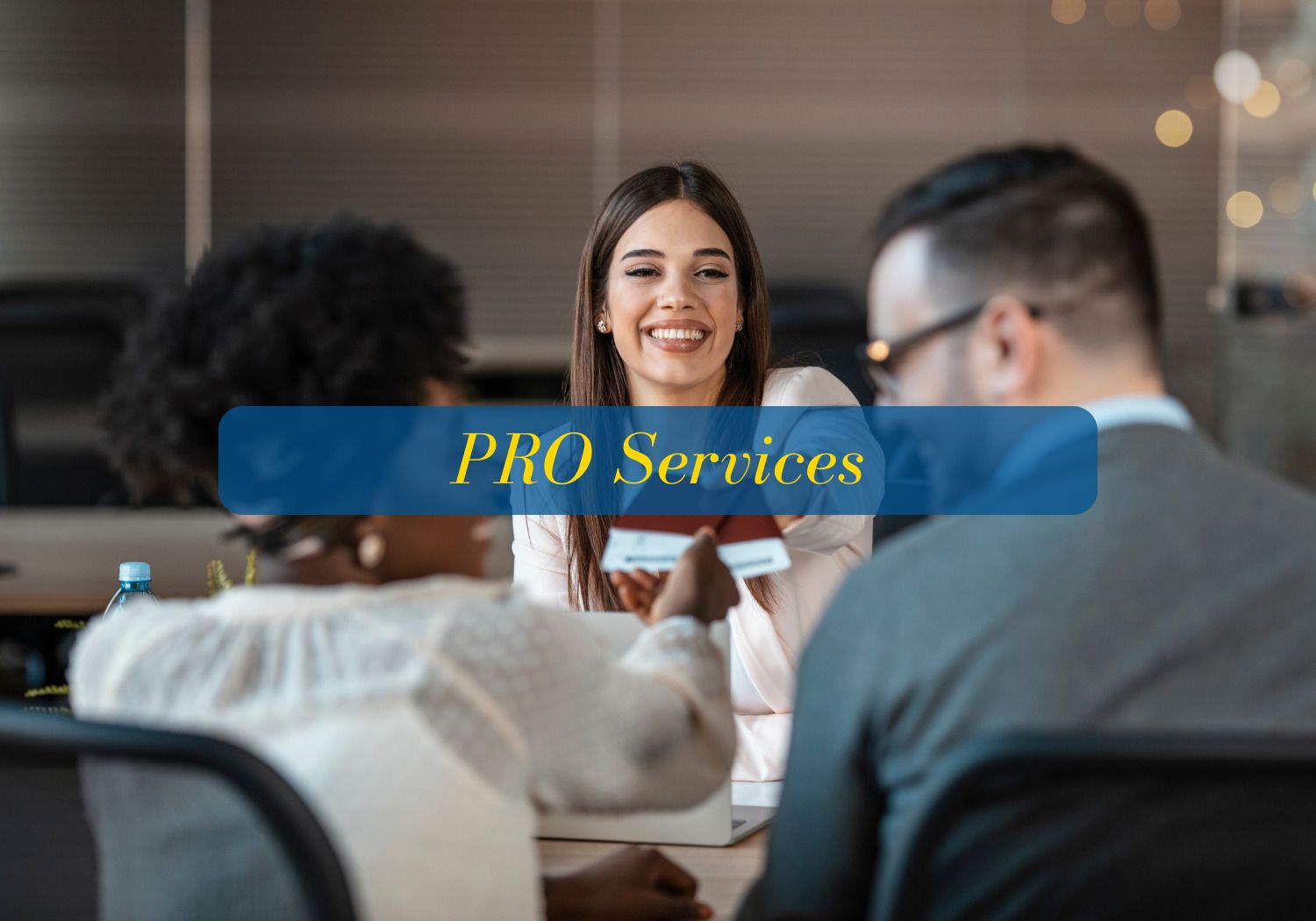 SBJ PRO-Services-1